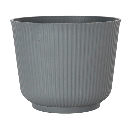 【THEAIRTOWN】 central tree cotton pt ★2color CTi Living